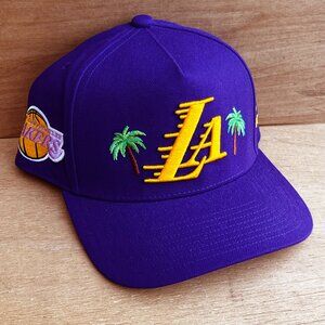MITCHELL & NESS LOS ANGELES DODGERS MY CITY PRO PINCH SNAPBACK HAT Purple NWT